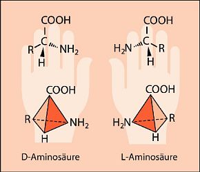 Abb. 254: D- und L-Aminosäure(Zum Vergrößern anklicken)