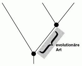 Abb. 29: Evolutionäre Art(Zum Vergrößern anklicken)