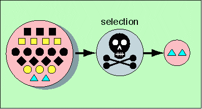 Pic. 59: The mode of operation of selection. 
(Zum Vergrern anklicken)