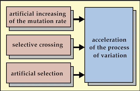 Pic. 62: Acceleration of the process of variation
(Zum Vergrern anklicken)